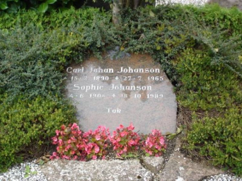 Carl Johan Johanson.jpg